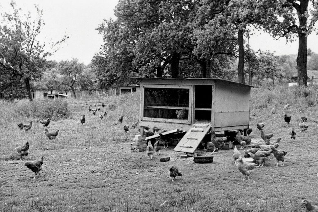 Lois Hechenblaikner Hinter den Bergen