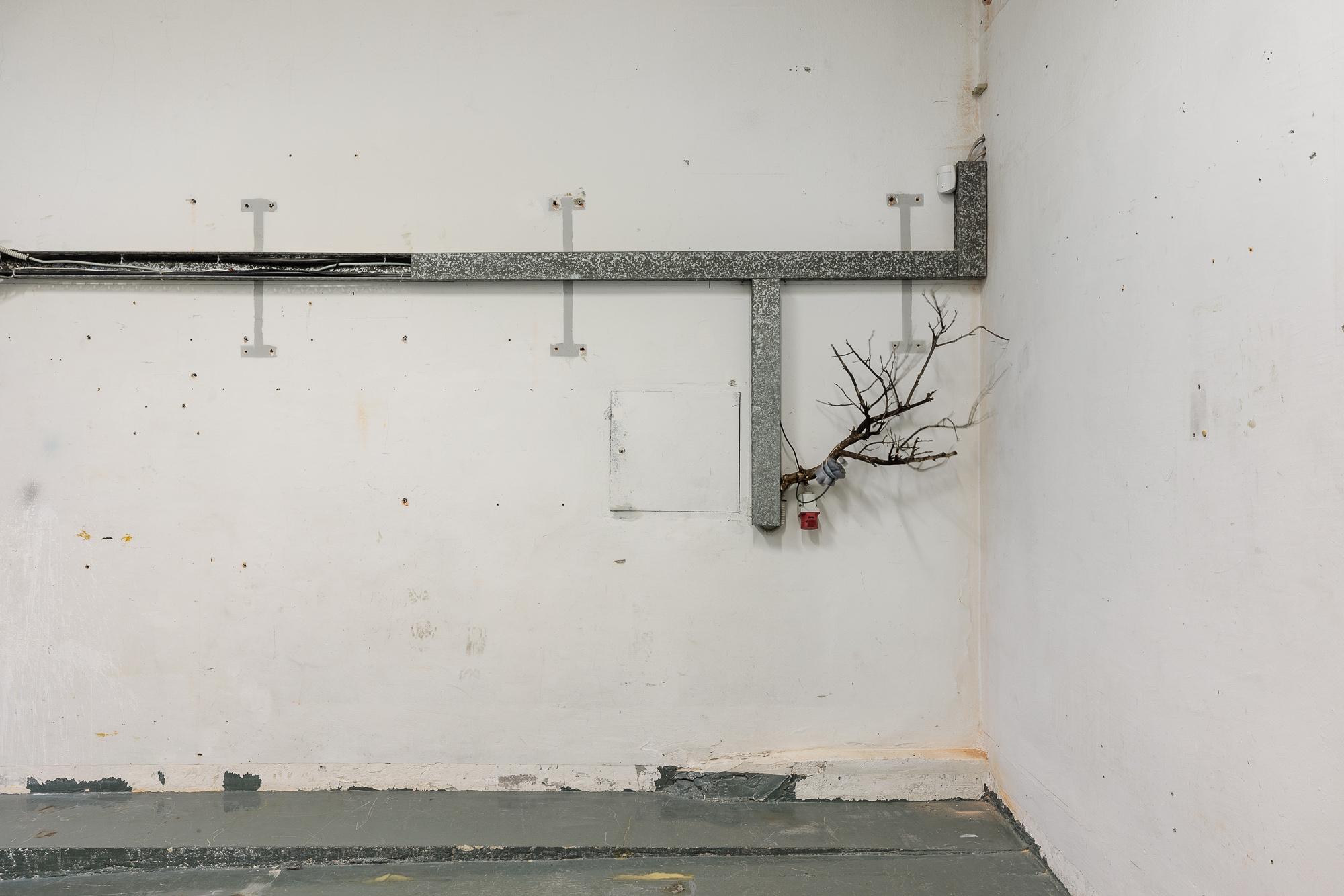 Nika Erjavec, Third Landscape, 2021-2025, Interactive sound installation, plant species from third landscape areas, massage vibrators and reconstructed toy motors, construction materials, motion based interactive system, variable dimensions, Courtesy of the artist