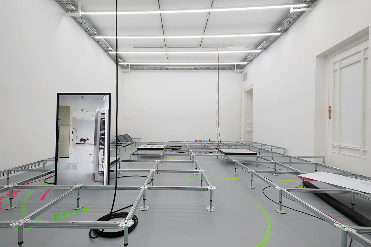 „A Deer in the Wide Web“ (2020), Mario Santamaría, ©Domen Pal / Aksioma. In "From the ashes of the Burnout Machines“