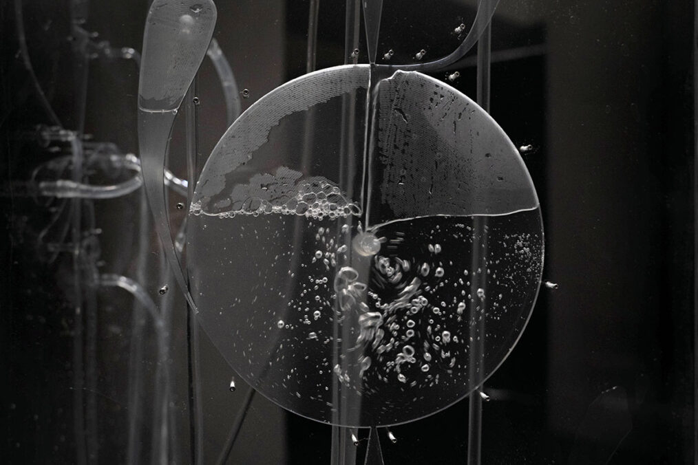 „Fluid Anatomy“ (2024), Ioana Vreme Moser, ©Courtesy of the artist. In "From the ashes of the Burnout Machines“