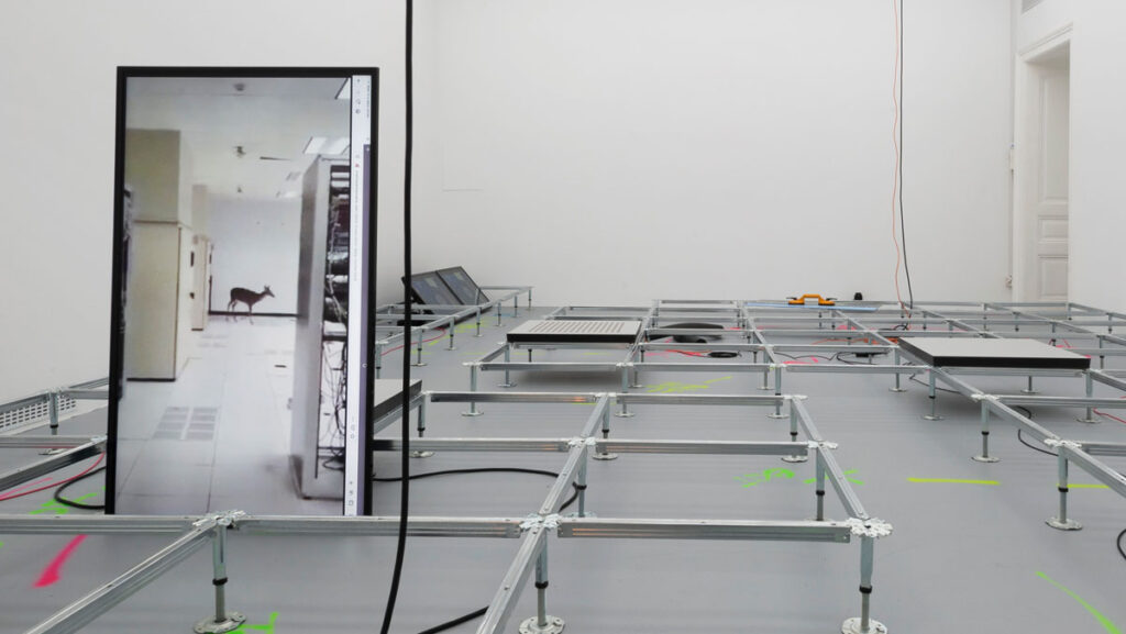 „A Deer in the Wide Web“ (2020), Mario Santamaría, ©Domen Pal / Aksioma. In "From the ashes of the Burnout Machines“