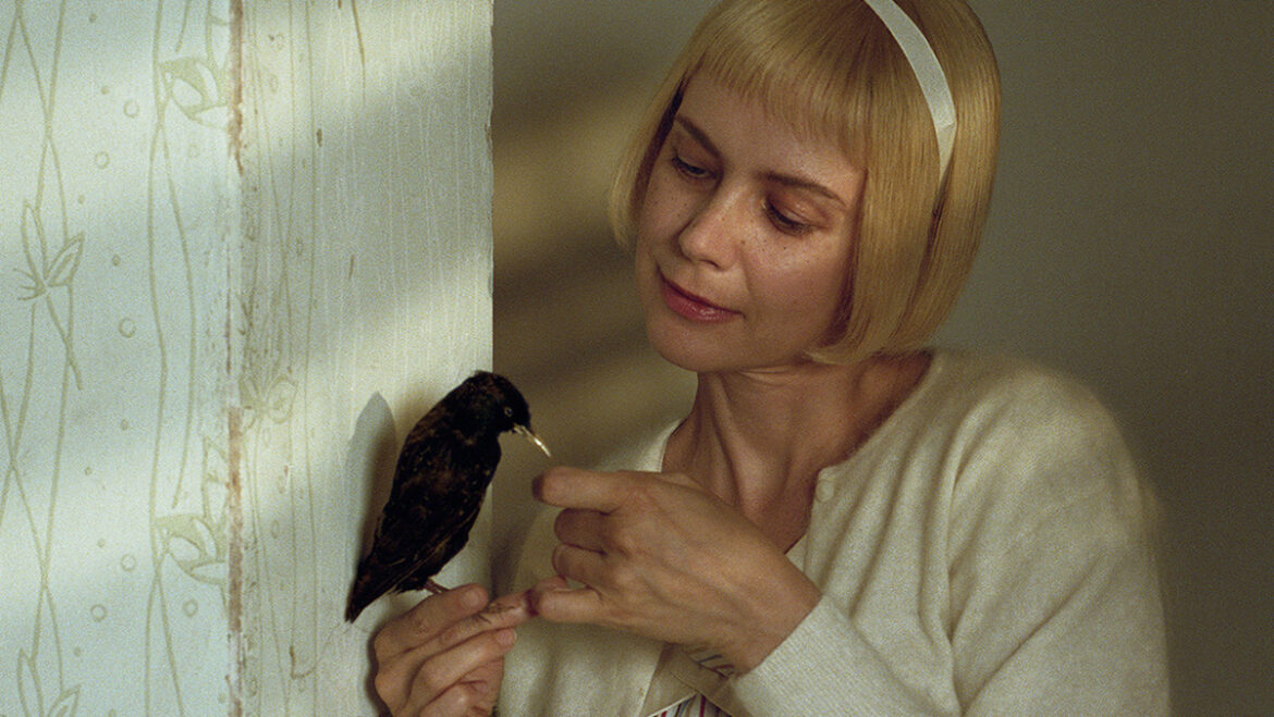 Anna Tihanyi Photography