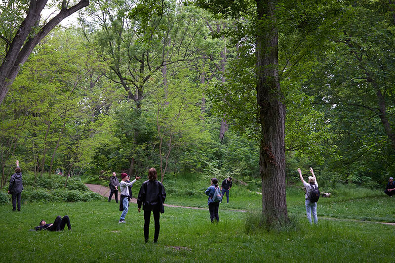 Claudia Bosse: ORACLE and SACRIFICE in the woods