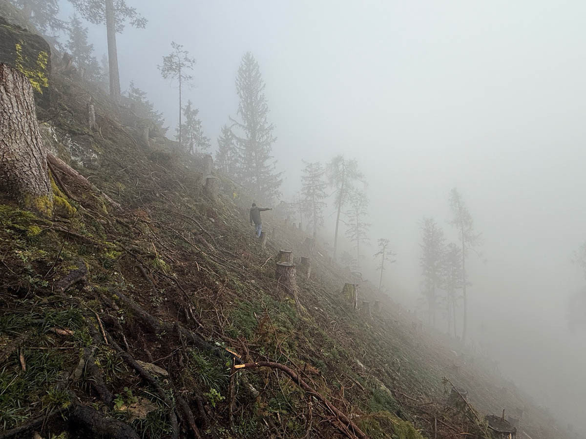 Photo: Courtesy of the artist