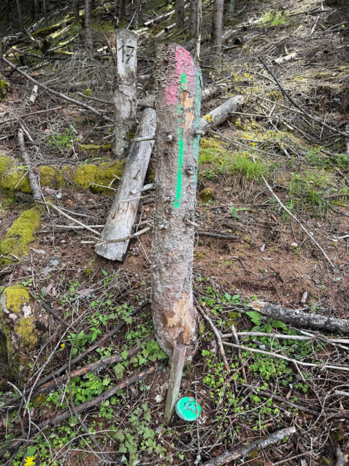 Photo: Courtesy of the artist