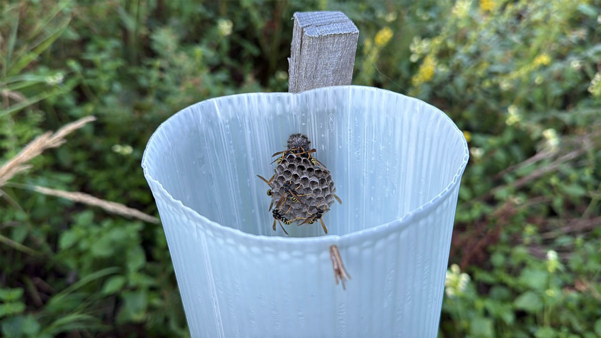 Photo: Courtesy of the artist