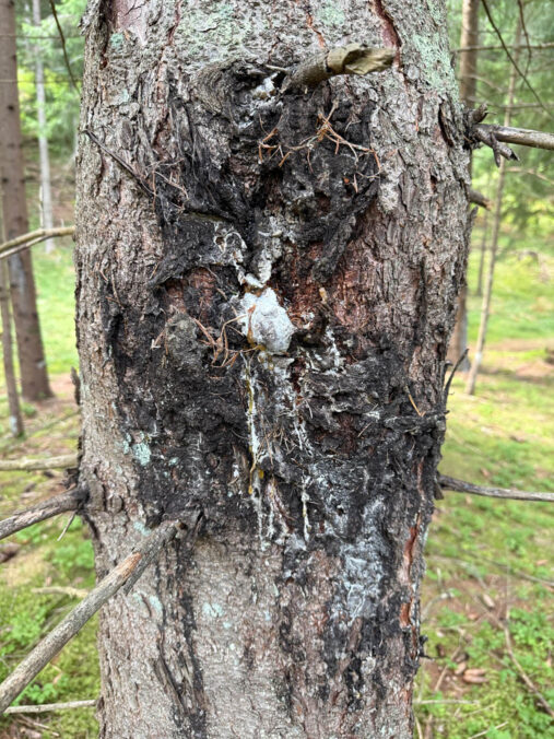 Photo: Courtesy of the artist