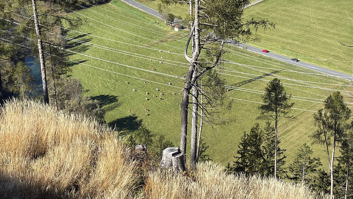 Photo: Courtesy of the artist