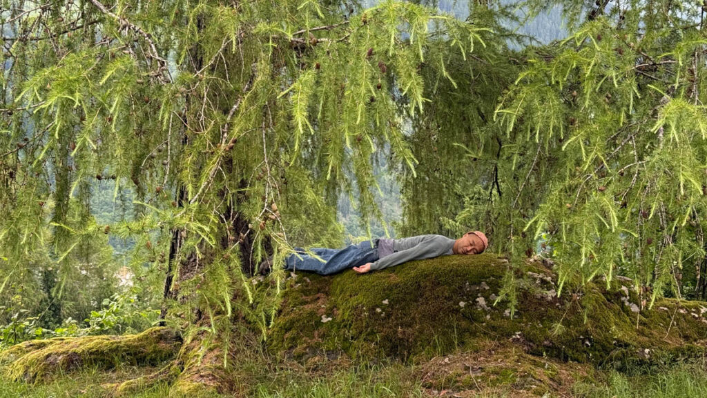 Adam Man mit Judith Hamann & Michiyasu Furutani – Reforest © Adam Man