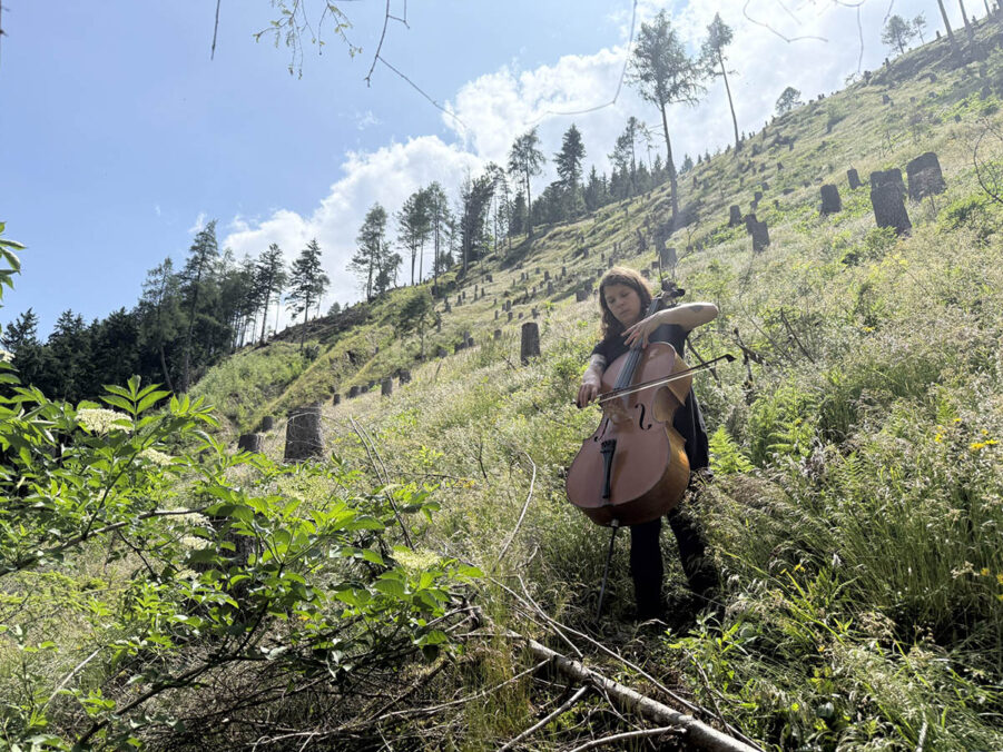 Adam Man mit Judith Hamann & Michiyasu Furutani – Reforest © Adam Man