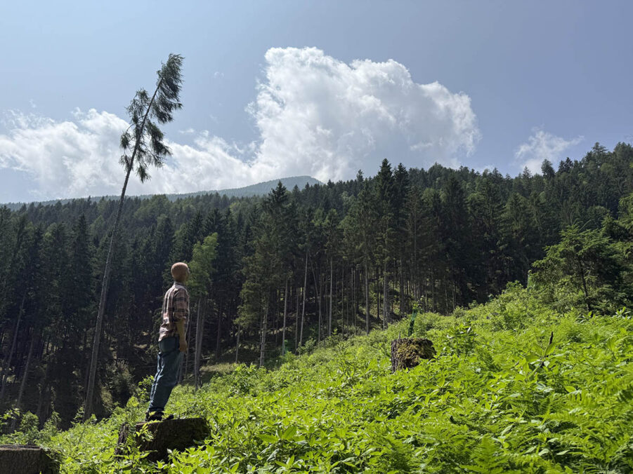 Adam Man mit Judith Hamann & Michiyasu Furutani – Reforest © Adam Man