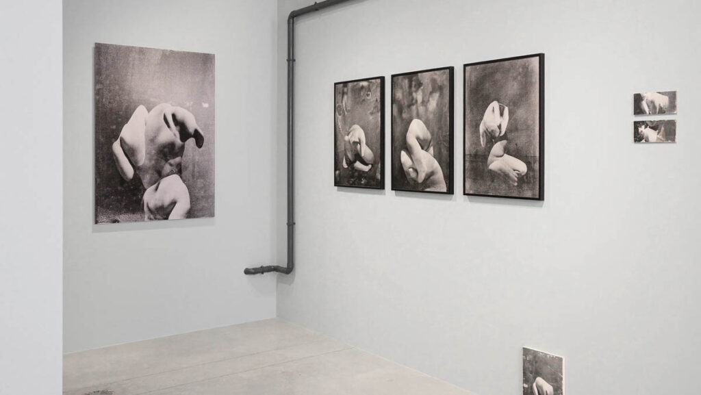 Exhibition view: Dior Photography and Visual Arts Award for Young Talents at LUMA Arles 2026, works by Akari Takenobu, Lampisterie, Parc des Ateliers, LUMA Arles. Courtesy of Dior.