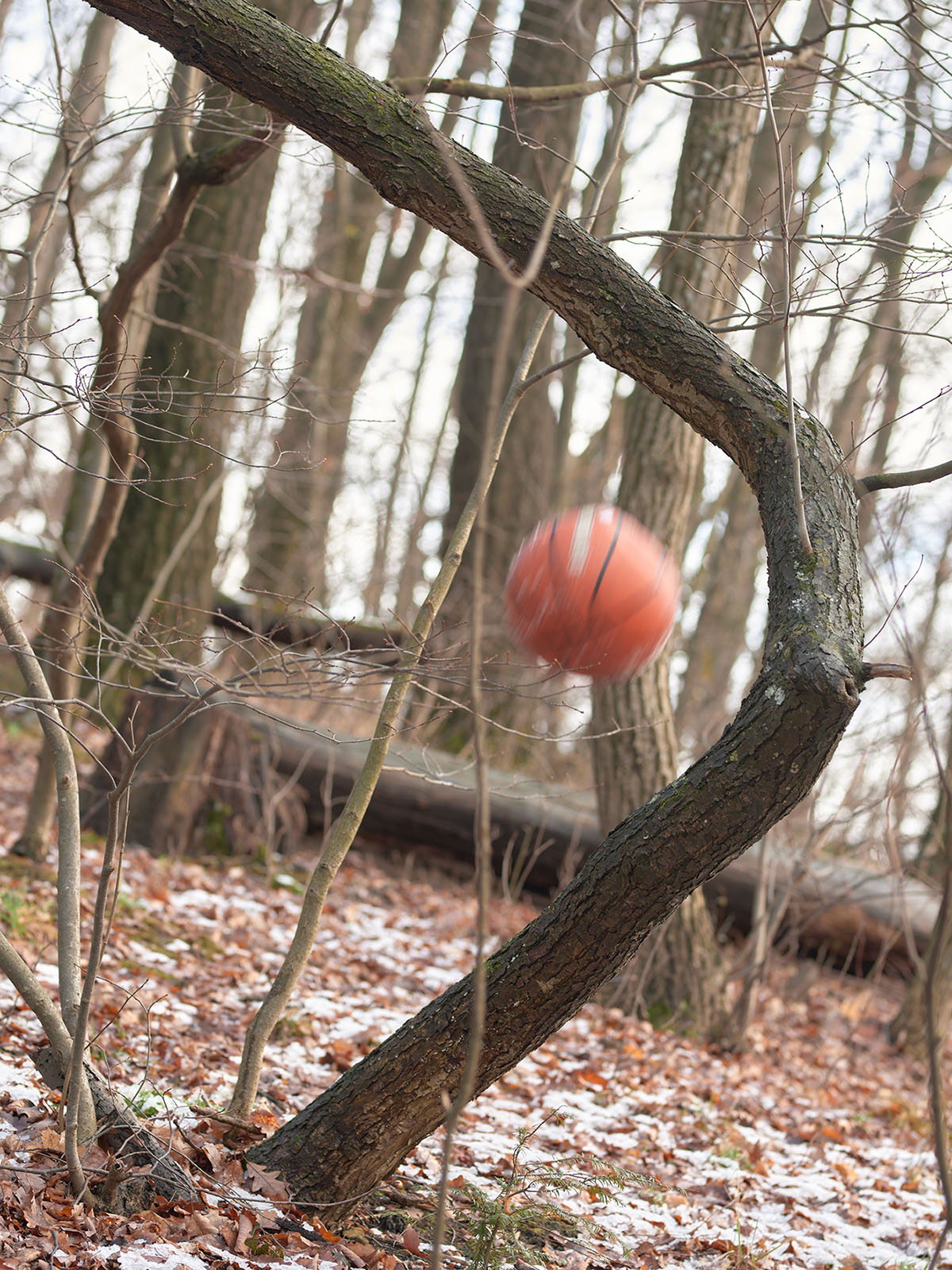 Dominik Buda, Parabelflug, 2021, © Dominik Buda