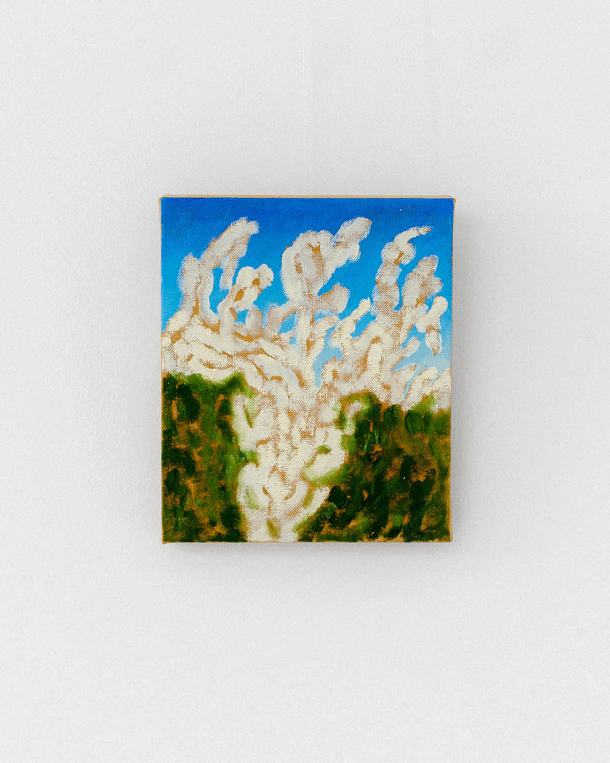 Alba Miocev, Looking Up, 2026, oil on linen canvas, 25 × 30 cm. Photo: Ivor Lapic.