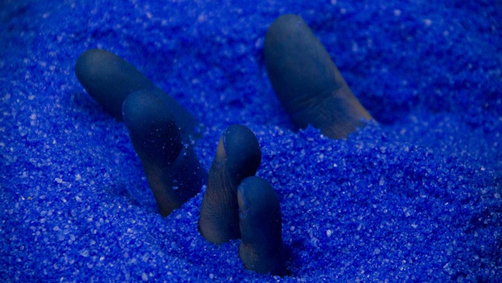 Alessio Barchitta, OSANNA(!), 2021, Exhibition view