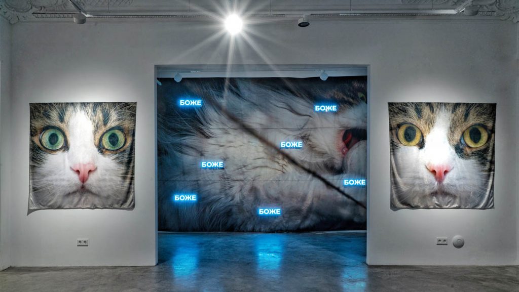 Alina Glazoun, Seu Plures Hiemes,