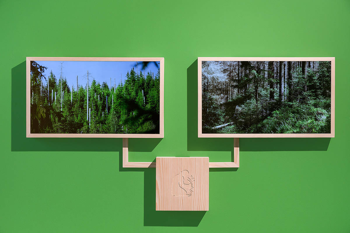 Ausstellungsansicht. Andreas Greiner - Jungle Memory 