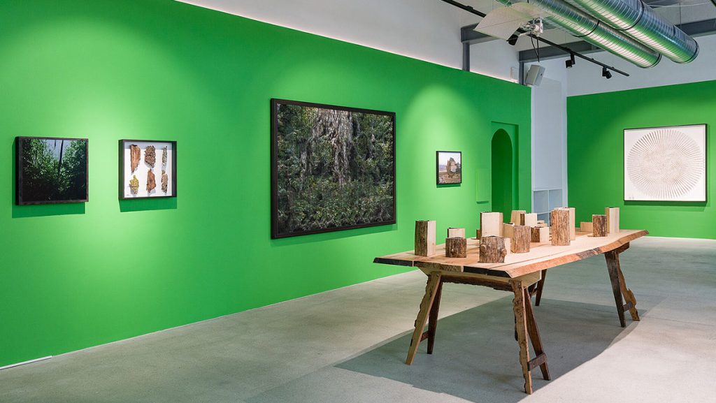 Ausstellungsansicht. Andreas Greiner - Jungle Memory