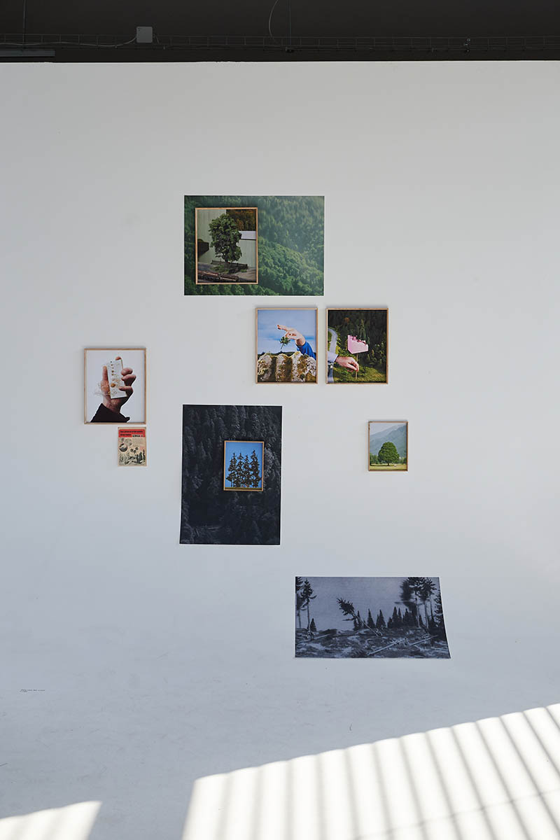 dieangewandte Diplom / Bachelor / Master Design - Bildende Kunst - TransArts - Art & Science