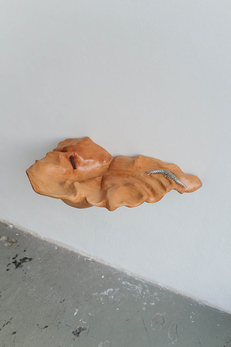 dieangewandte Diplom / Bachelor / Master Design - Bildende Kunst - TransArts - Art & Science