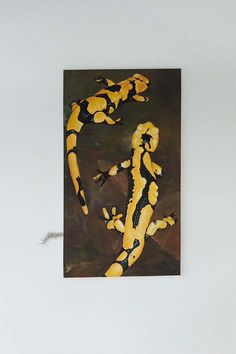 dieangewandte Diplom / Bachelor / Master Design - Bildende Kunst - TransArts - Art & Science