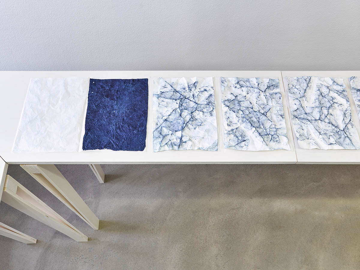 Ausstellungsansicht ACTA, Neue Galerie 2025. Foto: WEST. Fotostudio