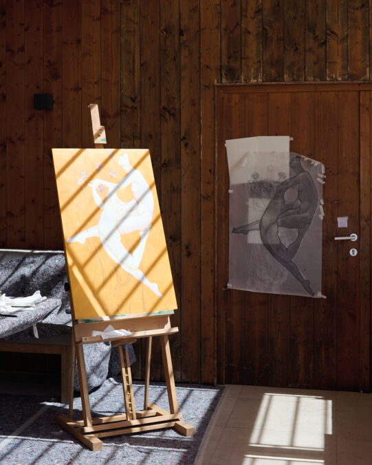 ART CIRCLE Austria - St. Wolfgang am Wolfgangsee. Photo: Daniel Lichterwaldt