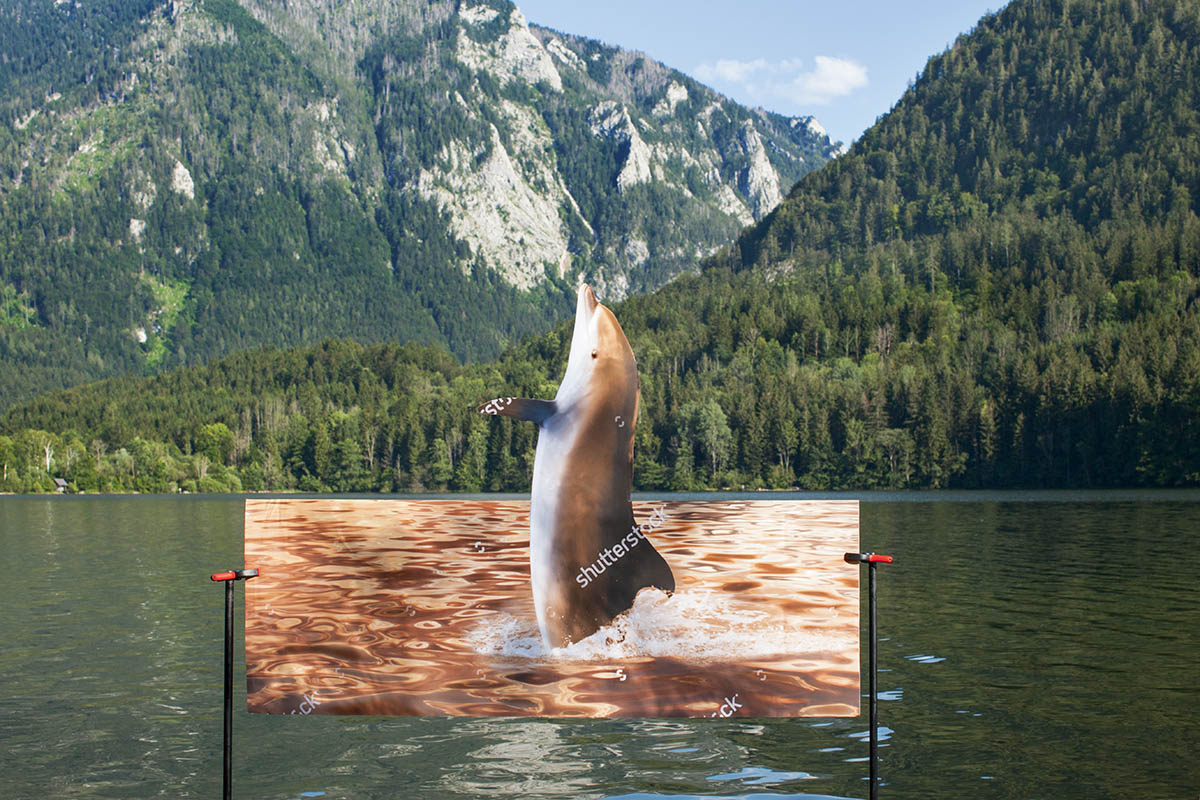 Mara Novak, reality sucks, 2016; digital C-print, 110x73 cm, Courtesy of the Artist