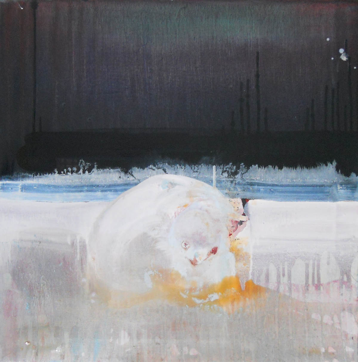 exotic arctic animal, 2012 50 x 50cm, Oil on canvas