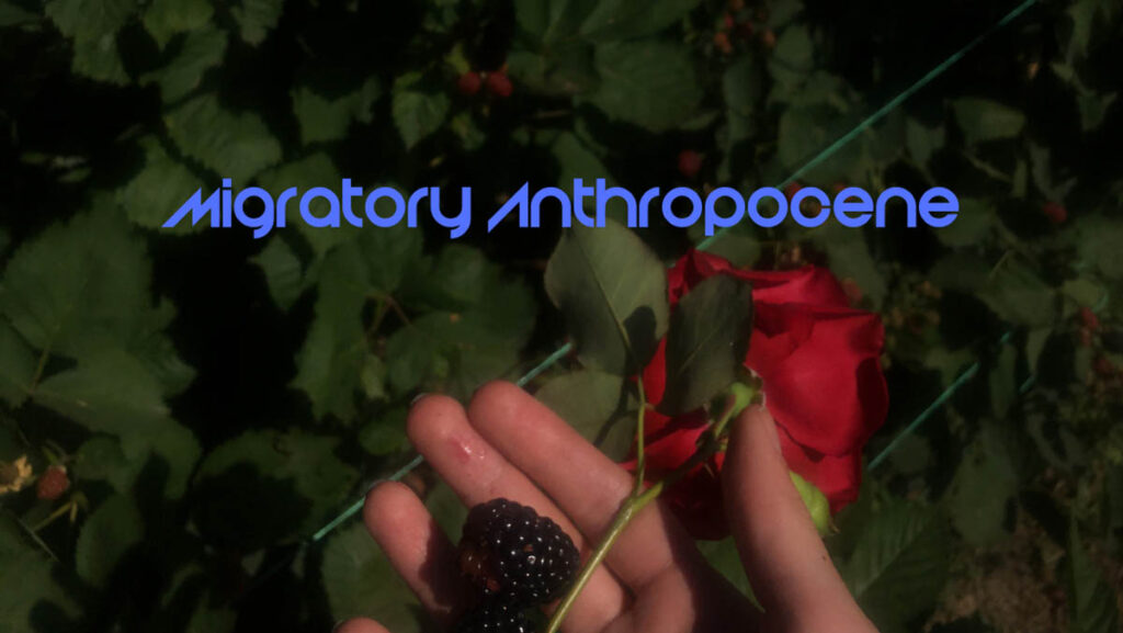 Ausstellung. Migratory Anthropocene