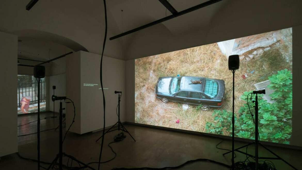 Ausstellungsansicht Victoria Square Is Not a Metaphor © Daniel Jarosch