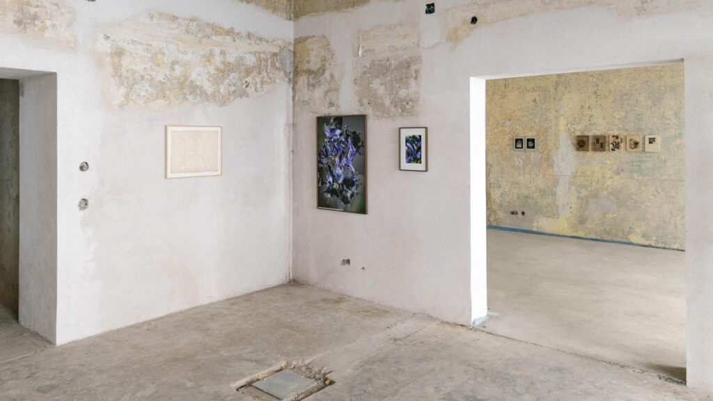 Between Light & Shadow