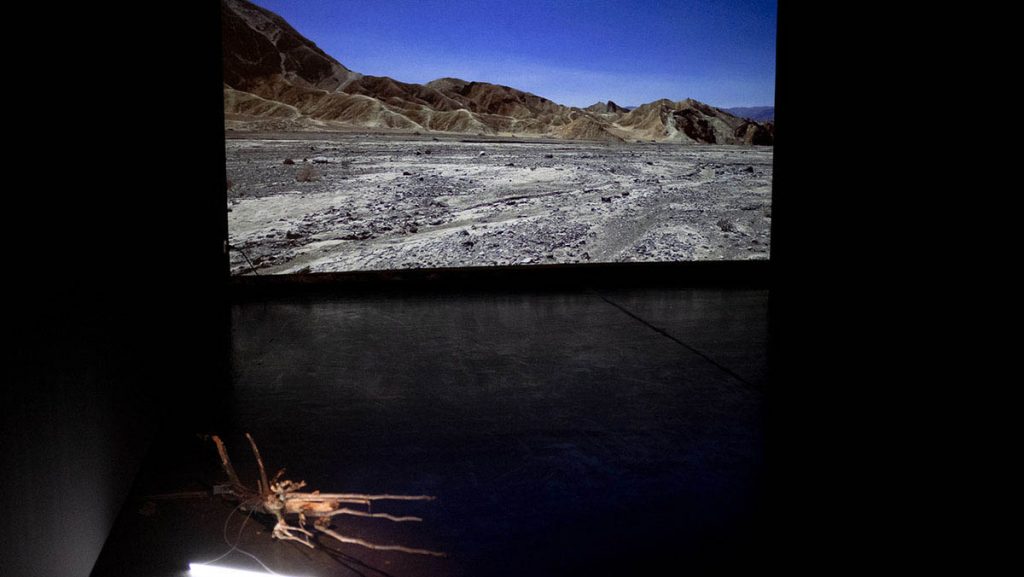 We/re Nature, Installation view. Courtesy of the artist