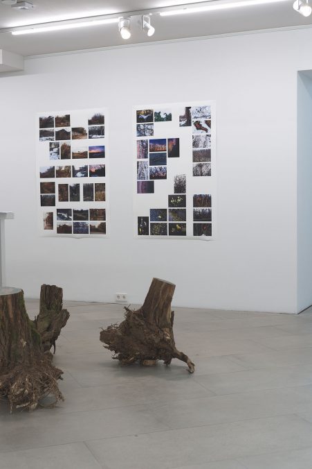 Use of Landscape Exhibition Vienna, Photo - Dominik Buda, 2021 (1)