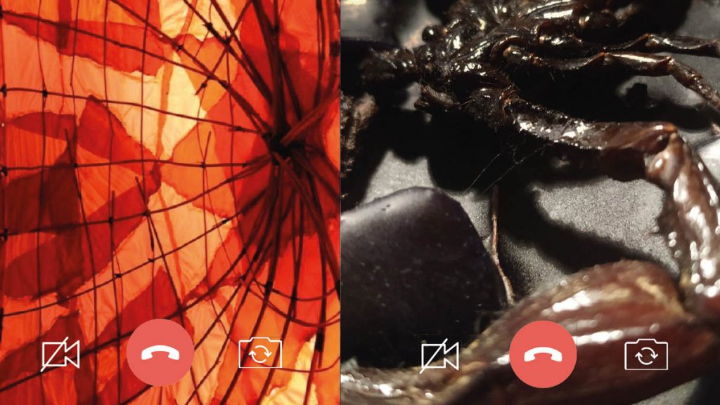 Crescens Face Noctiluca (Facetime)