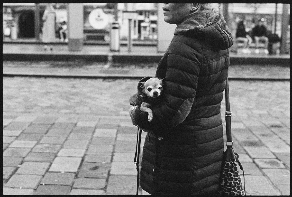 People of Linz, seen through the lens