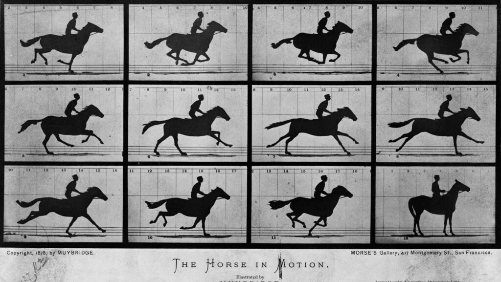 Eadweard Muybridge: The Horse in Motion © Wikipedia