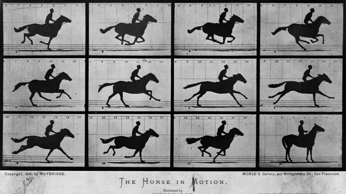 Eadweard Muybridge: The Horse in Motion © Wikipedia