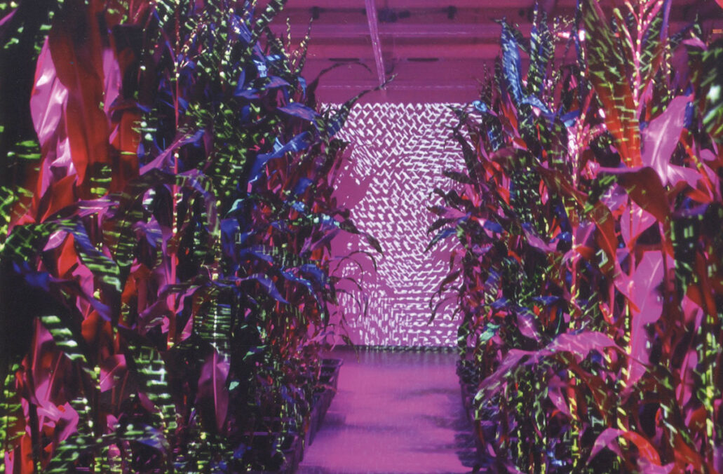 Magda-Rosa Schuster & Teresa Biersack, 2021 © Eboran – Raum für Kunst