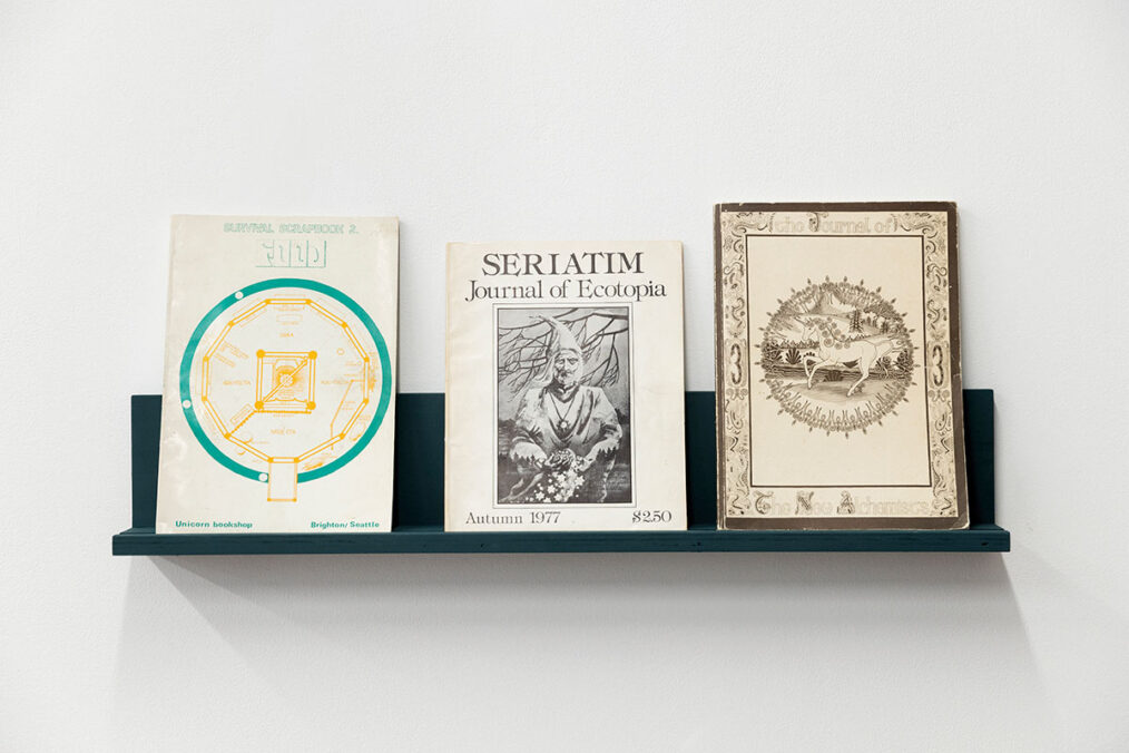 Exhibition view: For Solidarity x Document HET: Alternative Publishing and Community Undercurrents. Photo: Matt Denham