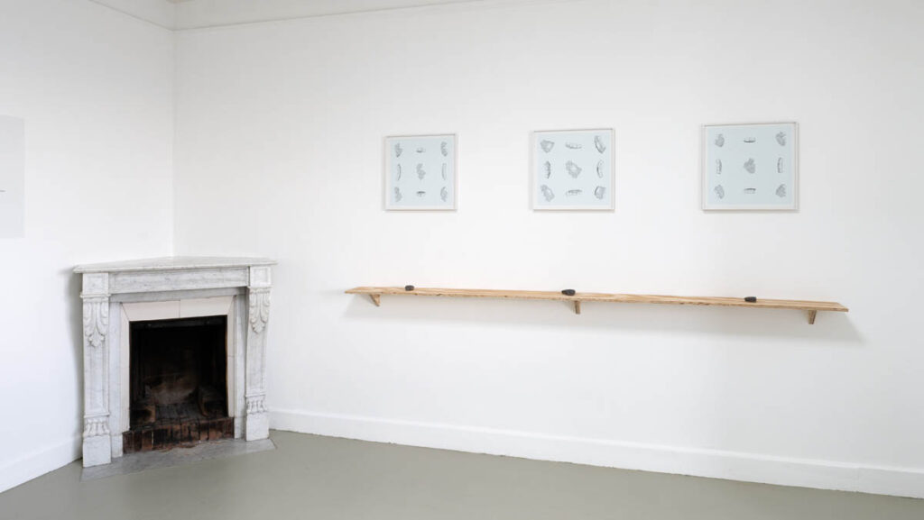 Exhibition. Puzzle of a Maze