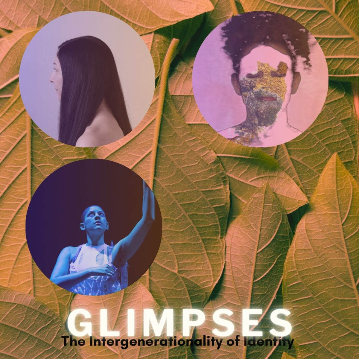 Glimpses