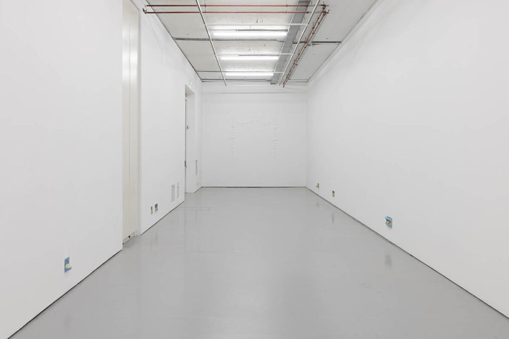 Nancy Lupo, Several Chickens Later (2026). Installation view, Spike Island, Bristol. Photograph by Rob Harris.