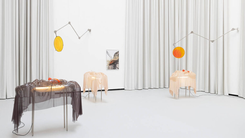 exhibition view "still (a little life)". Curated by Barbara Horvath. The Hall 2026. Photo: Michael Strasser. Courtesy of PART.