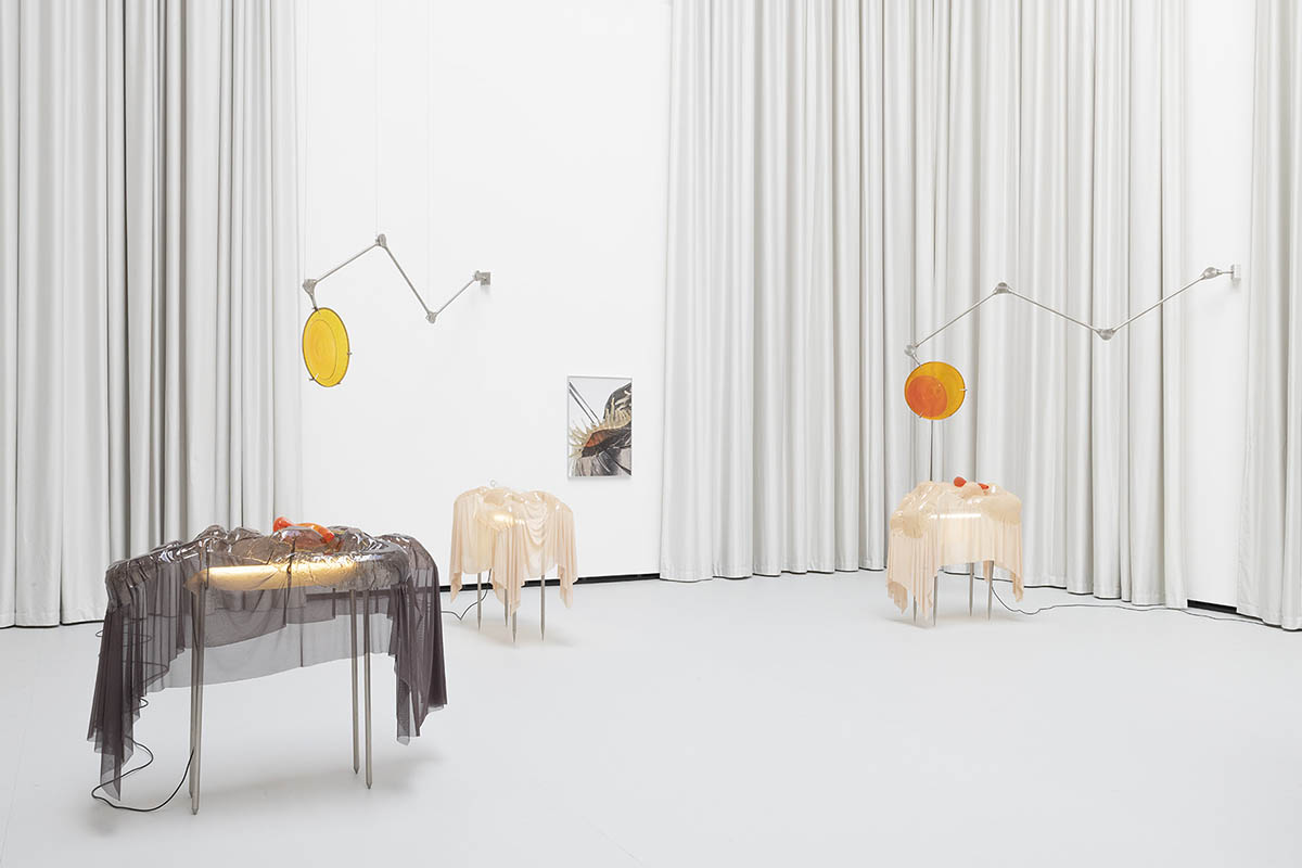 exhibition view "still (a little life)". Curated by Barbara Horvath. The Hall 2026. Photo: Michael Strasser. Courtesy of PART.