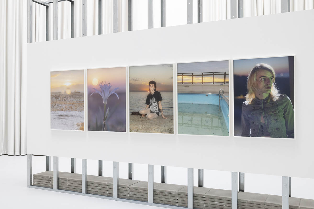 exhibition view "still (a little life)". Curated by Barbara Horvath. The Hall 2026. Photo: Michael Strasser. Courtesy of PART.