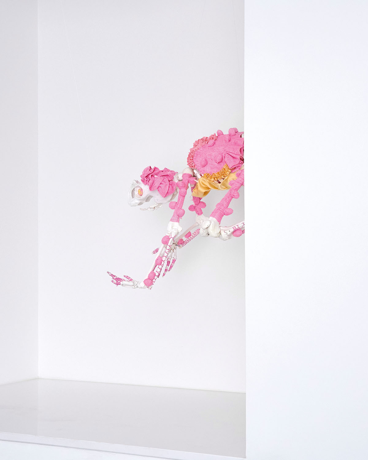 exhibition view: Metamorphosis. Artist: Kata Oelschlägel