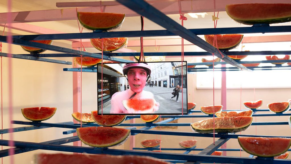 Installation view, People look at melons. Melons don’t look at people