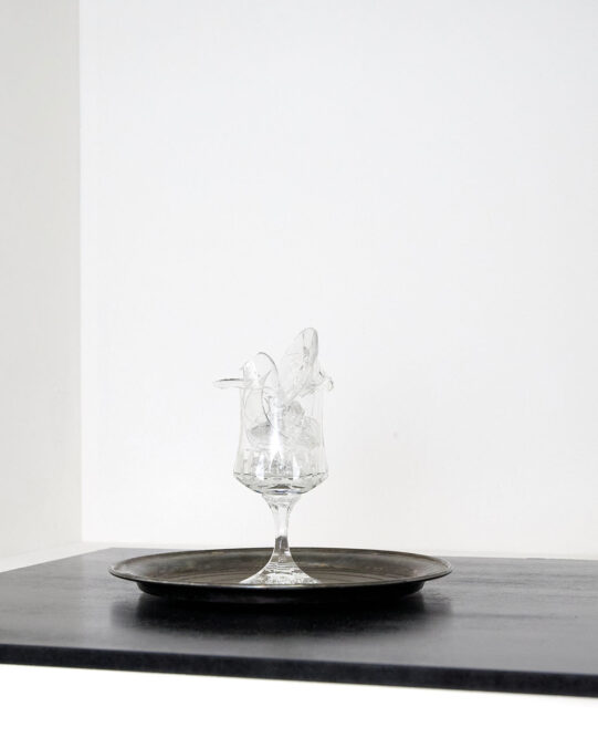 gezwanzig gallery - contemporary art Vienna