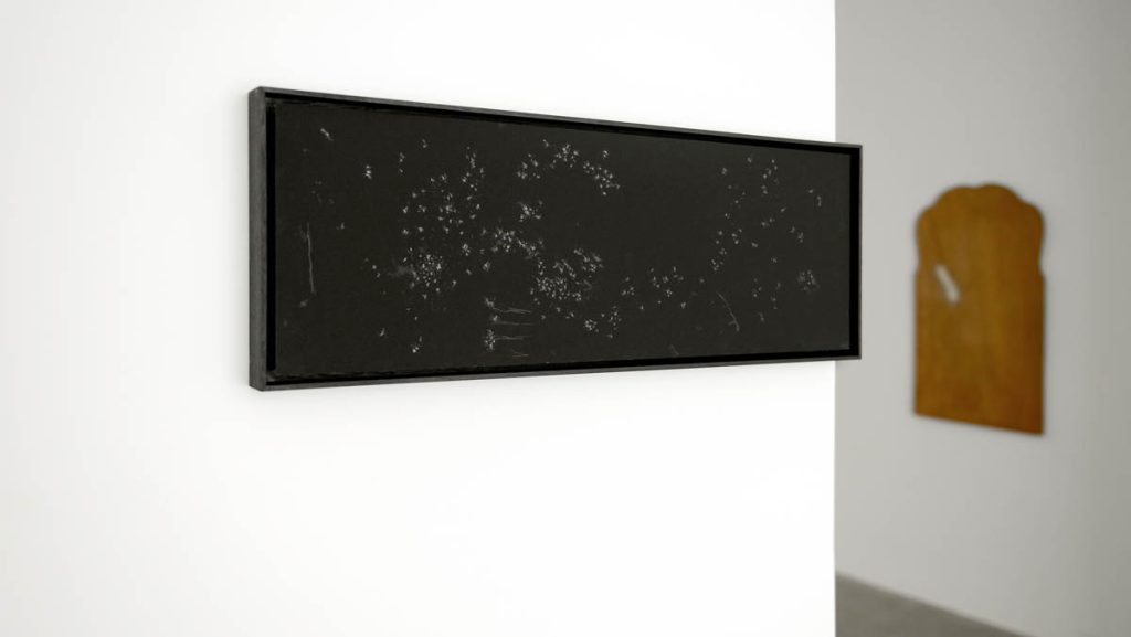 Katharina Stiglitz, Ausstellungsansicht